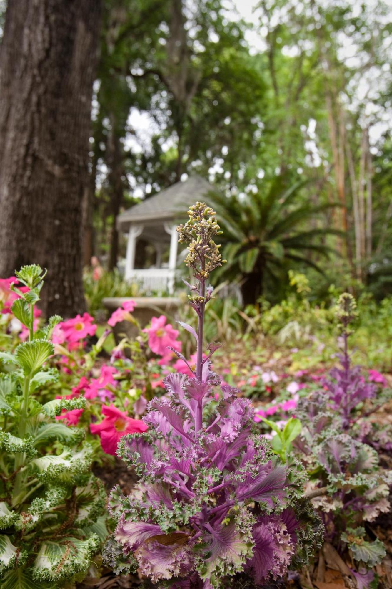 Sweetwater Branch Inn Gainesville Eksteriør bilde