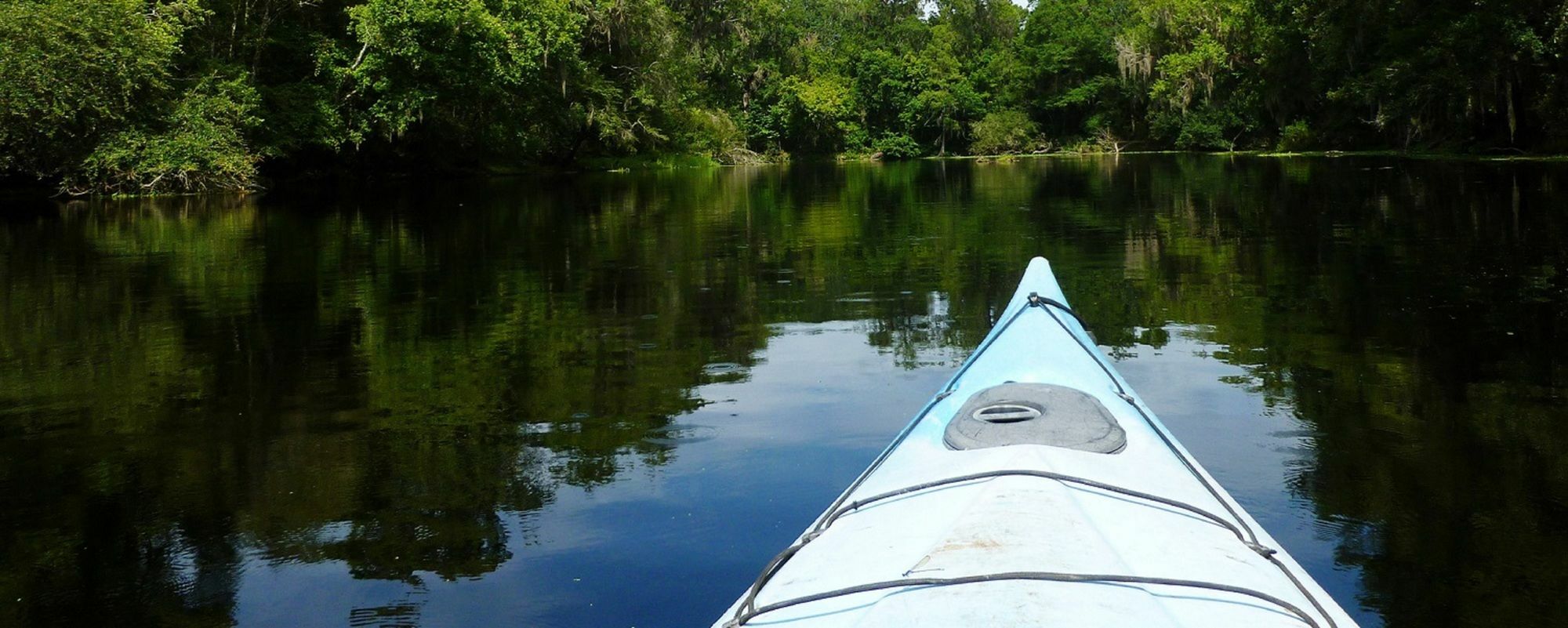 Sweetwater Branch Inn Gainesville Eksteriør bilde